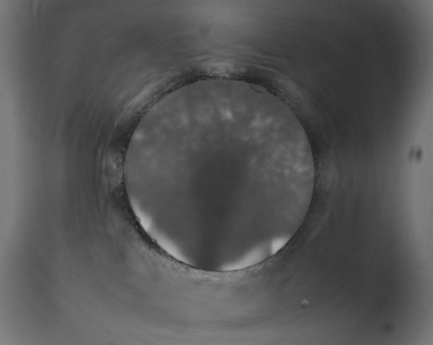 X0000111490043200907281238