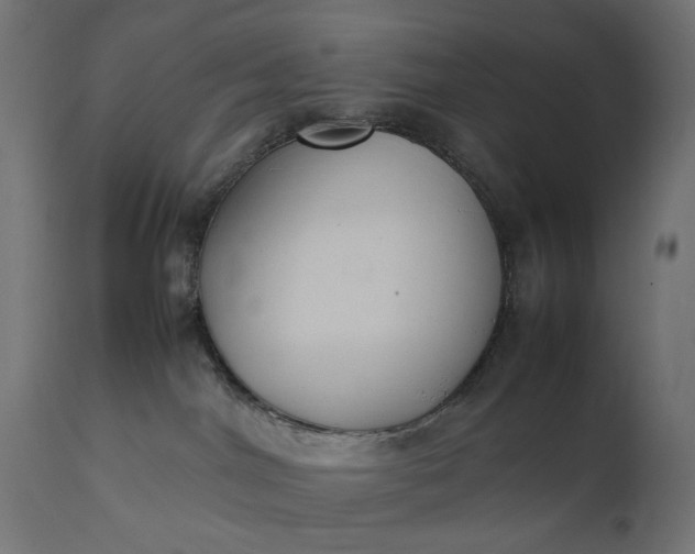 X0000111490044200907281238