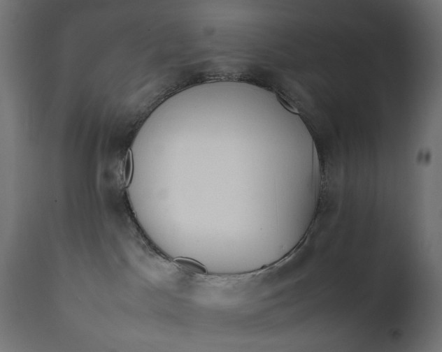 X0000111490045200907281238