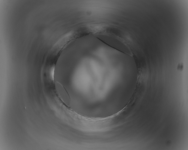 X0000111490047200907281238