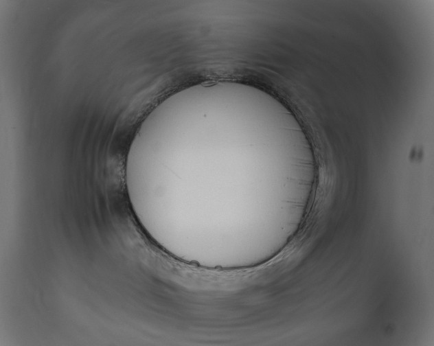 X0000111490048200907281238