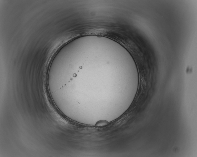 X0000111490049200907281237