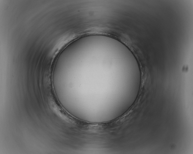 X0000111490050200907281237