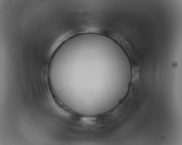 X0000111490051200907281237