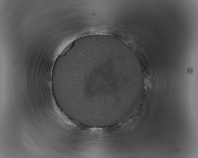 X0000111490052200907281237