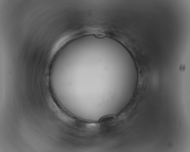 X0000111490053200907281237