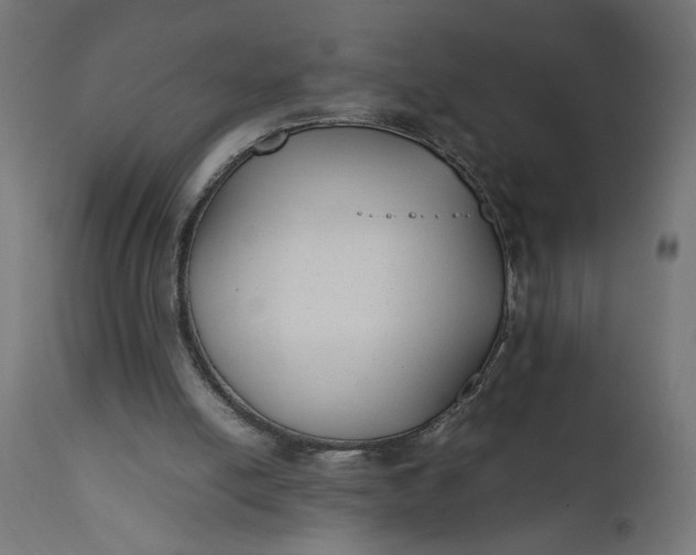 X0000111490054200907281237