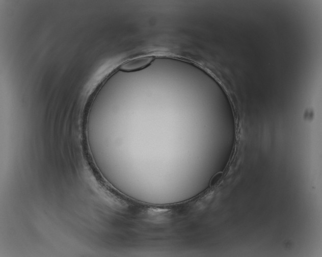 X0000111490055200907281237