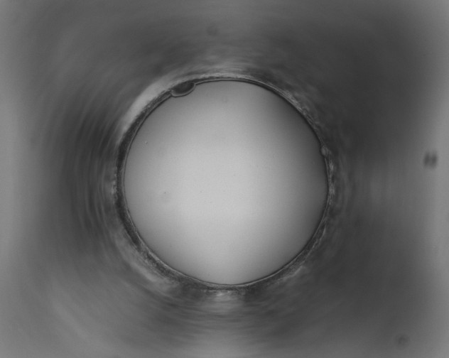 X0000111490056200907281237