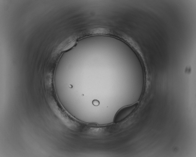 X0000111490057200907281237