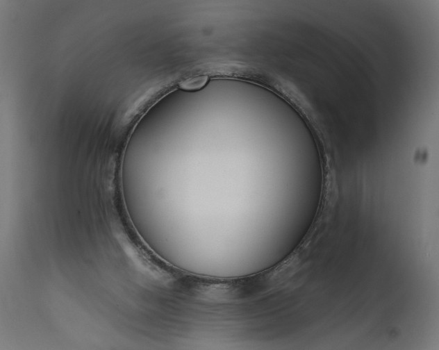 X0000111490058200907281237