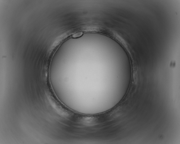 X0000111490059200907281237