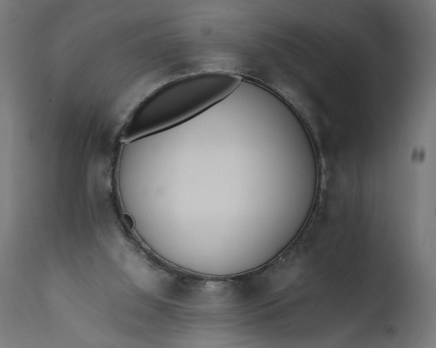 X0000111490060200907281237