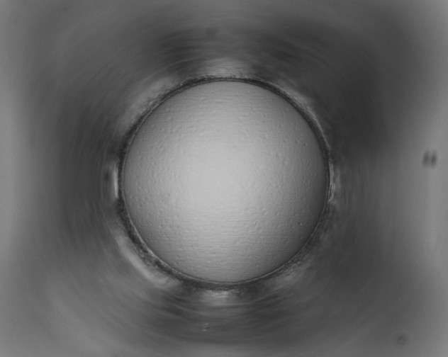 X0000111490061200907281237