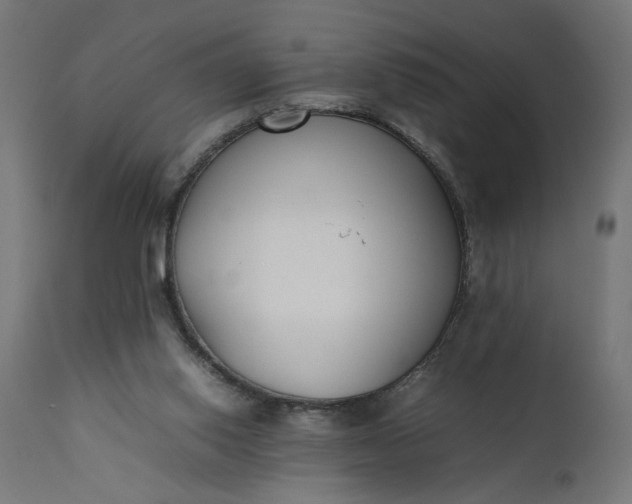 X0000111490062200907281237