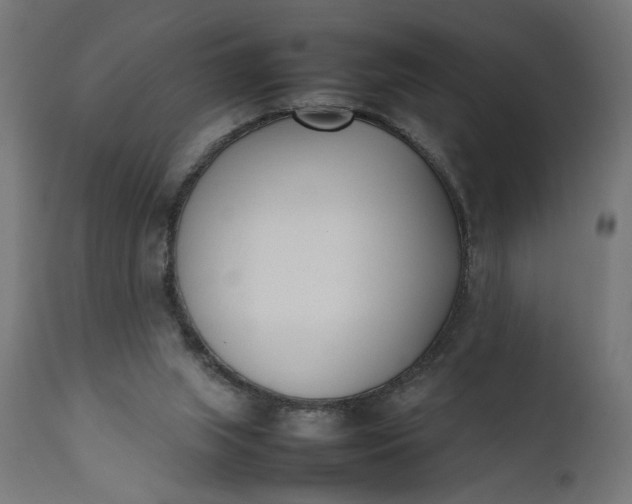 X0000111490063200907281237