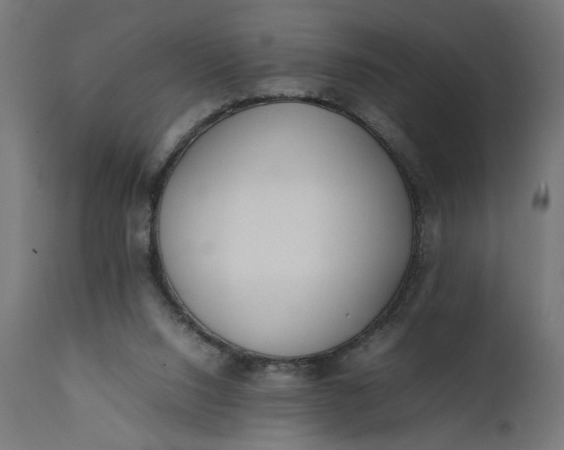 X0000111490064200907281237