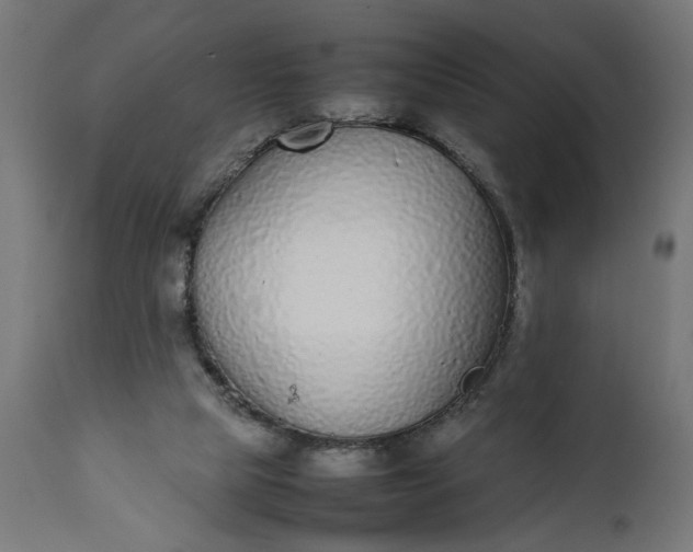 X0000111490065200907281237