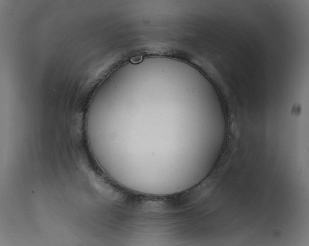 X0000111490066200907281238