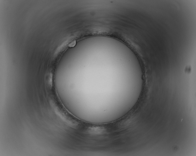 X0000111490067200907281238