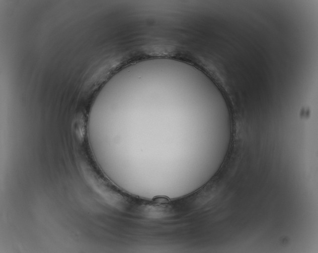 X0000111490069200907281238