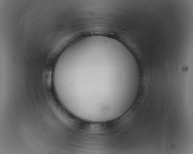 X0000111490070200907281238