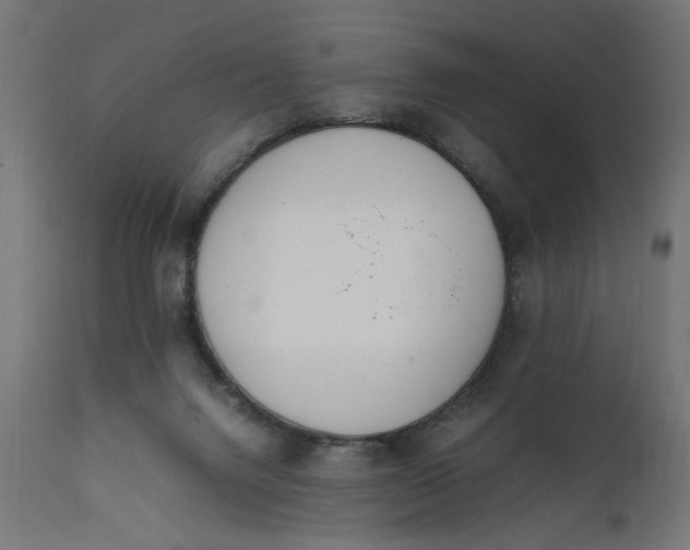 X0000111490072200907281238