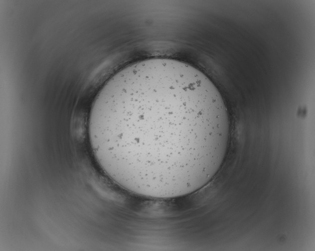 X0000111490074200907281238