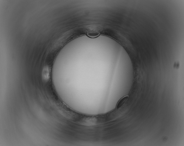 X0000111490075200907281238