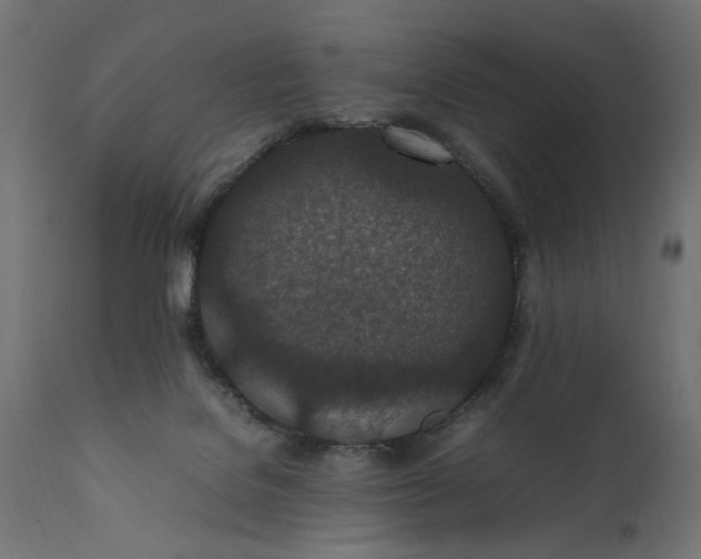 X0000111490076200907281238