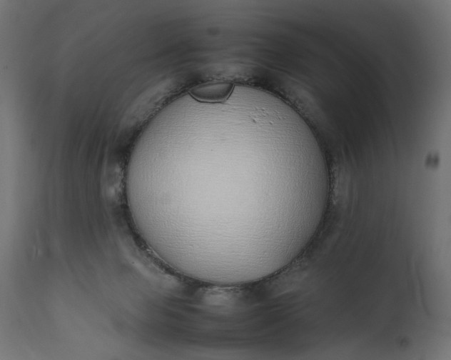 X0000111490077200907281238