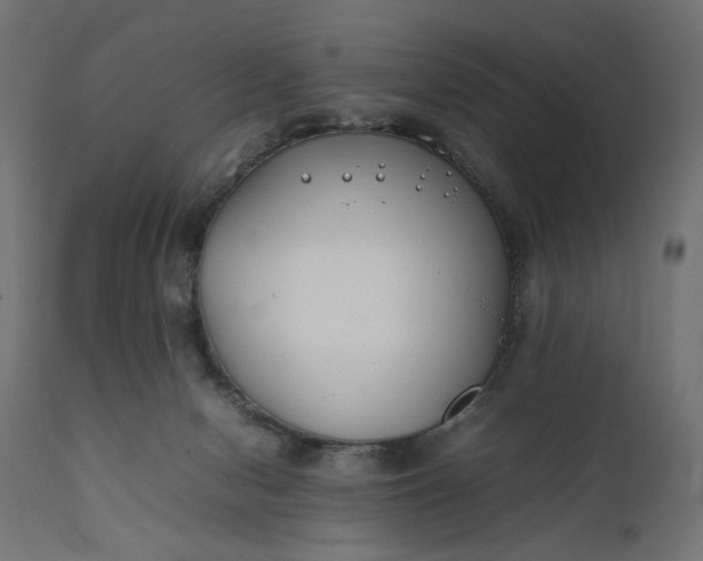 X0000111490078200907281238