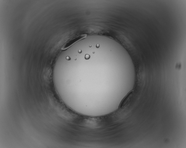 X0000111490079200907281238