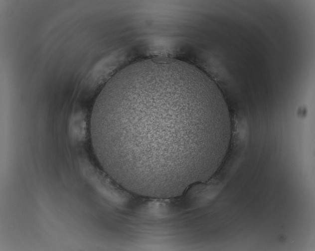 X0000111490080200907281238