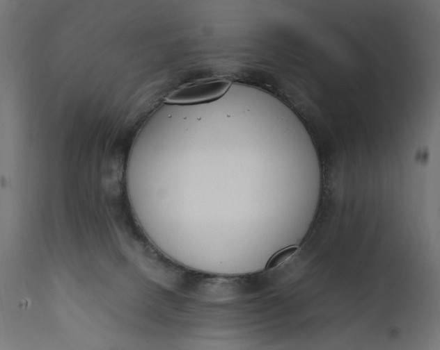 X0000111490082200907281238