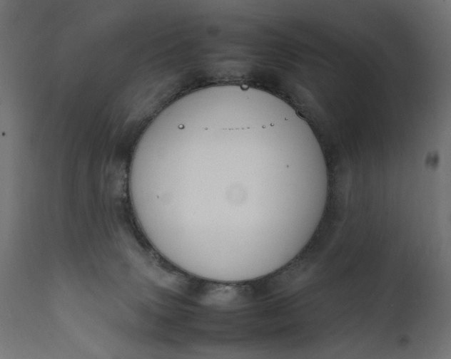 X0000111490083200907281238