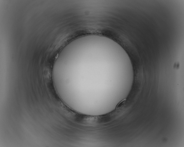 X0000111490084200907281238