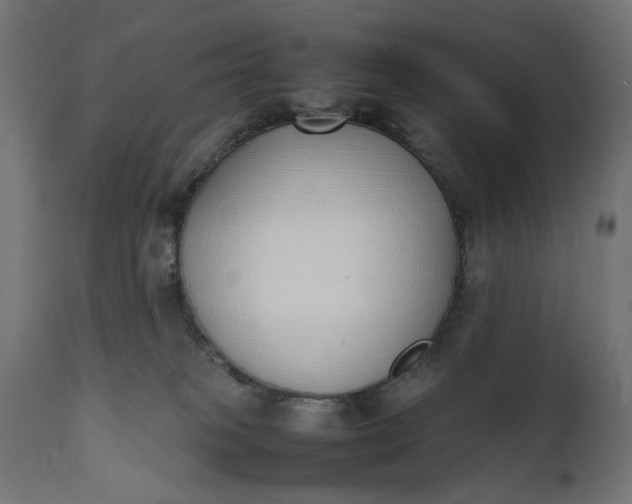 X0000111490085200907281238