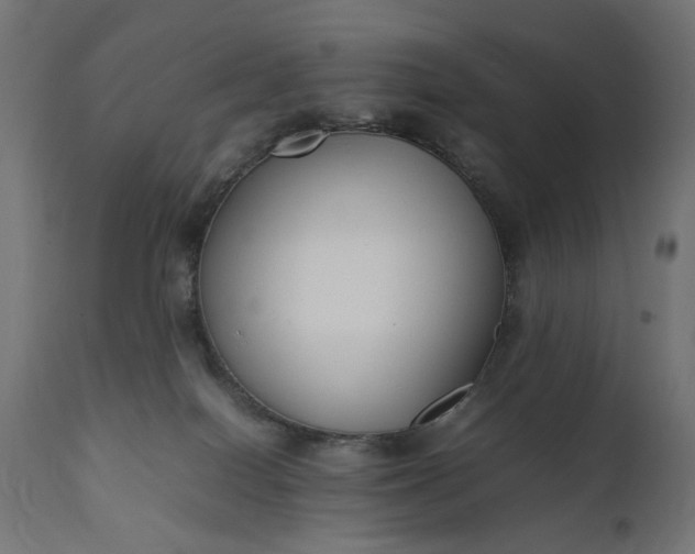 X0000111490086200907281238