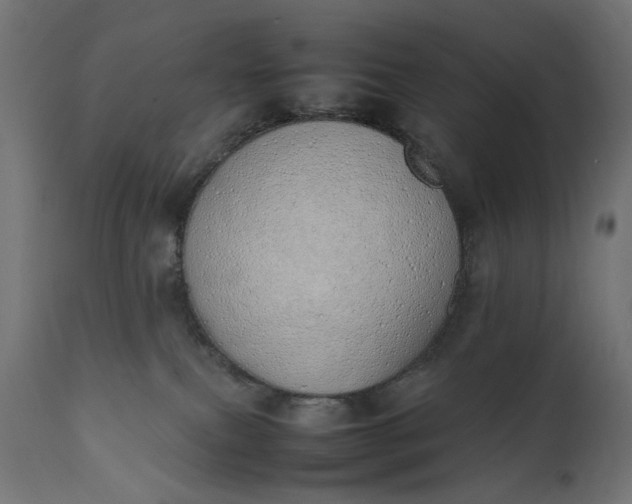 X0000111490087200907281238