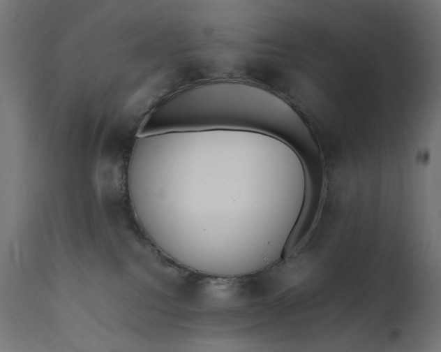 X0000111490088200907281238