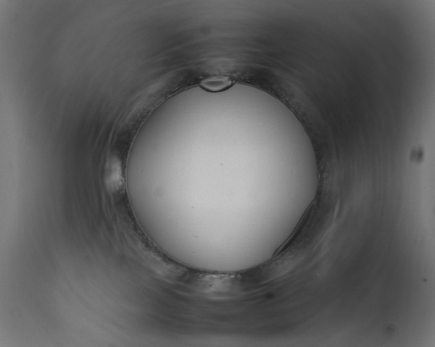 X0000111490089200907281238