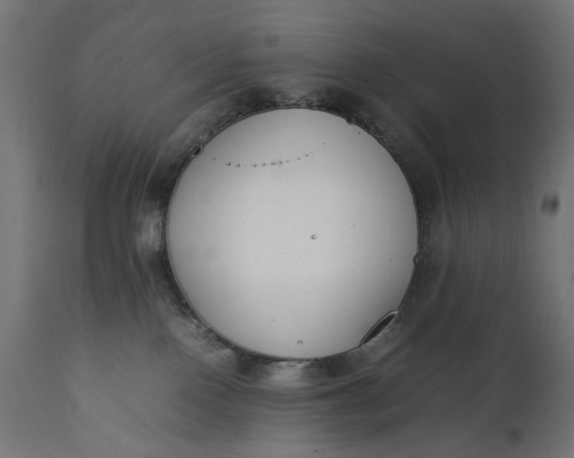 X0000111490090200907281238