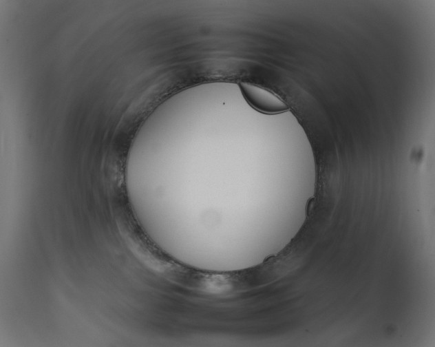 X0000111490091200907281238