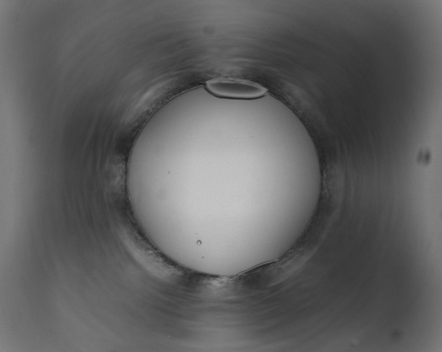 X0000111490092200907281238