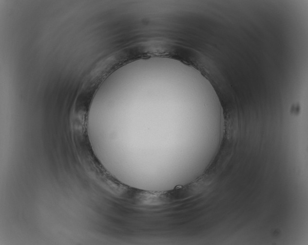 X0000111490093200907281238