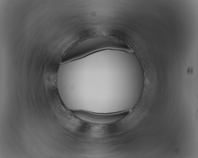 X0000111490096200907281238