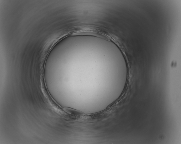 X0000111490097200907281237