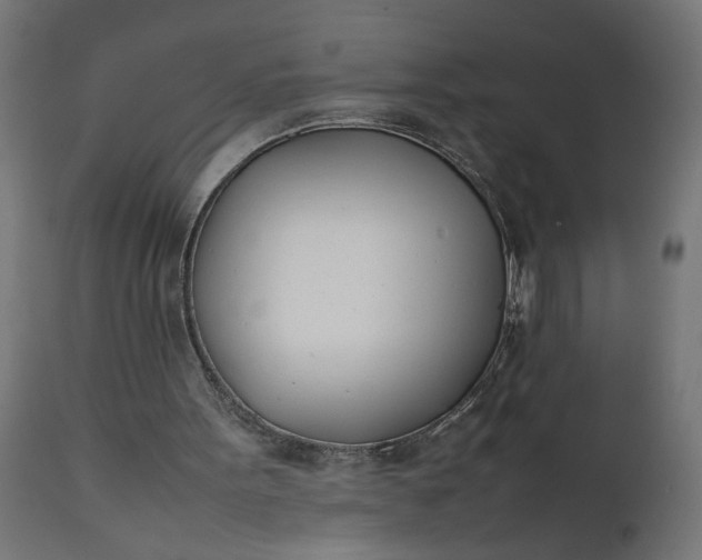 X0000111490099200907281237