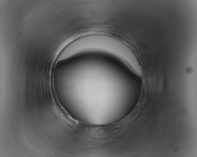 X0000111490100200907281237